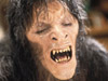 American Werewolf film still